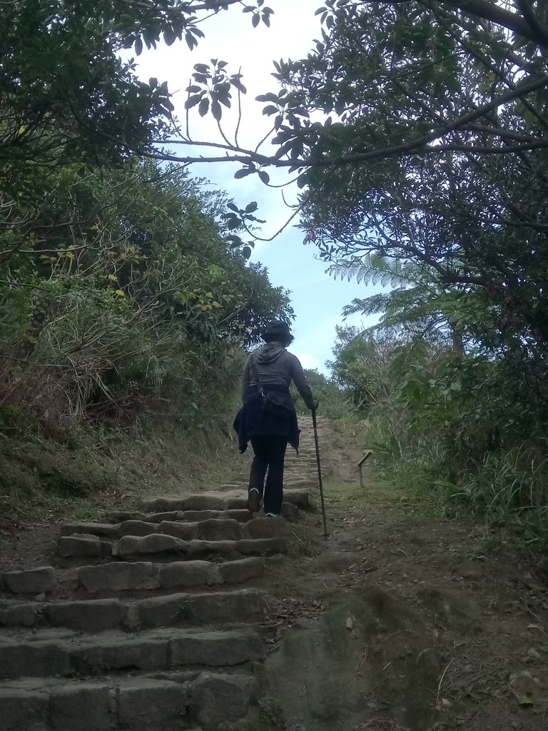 DSC_2382.JPG - 初春  登瑞芳  南子吝山