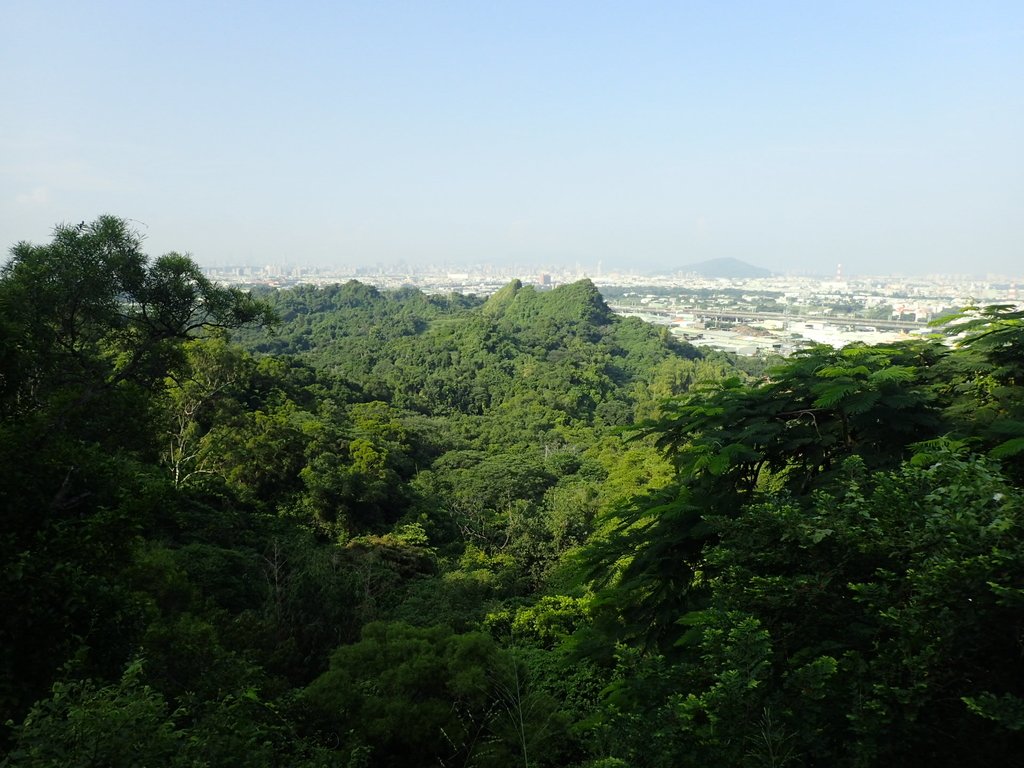 P9189164.JPG - 大社  觀音山步道