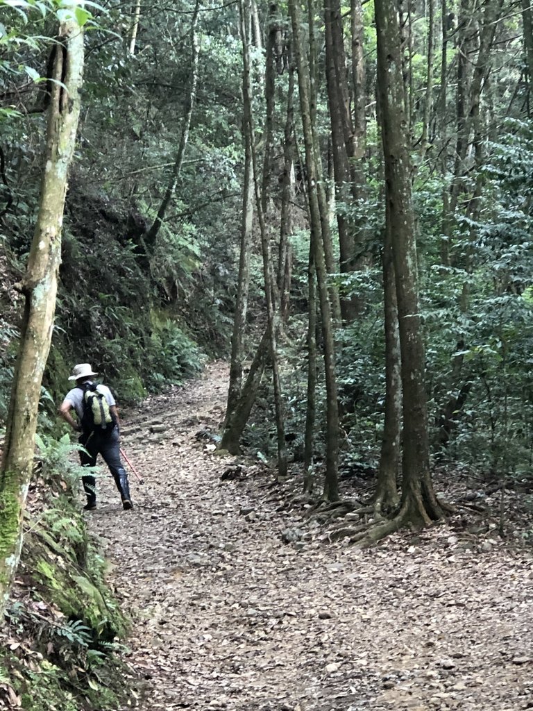 IMG_7710.JPG - 台中  和平  橫嶺山自然步道