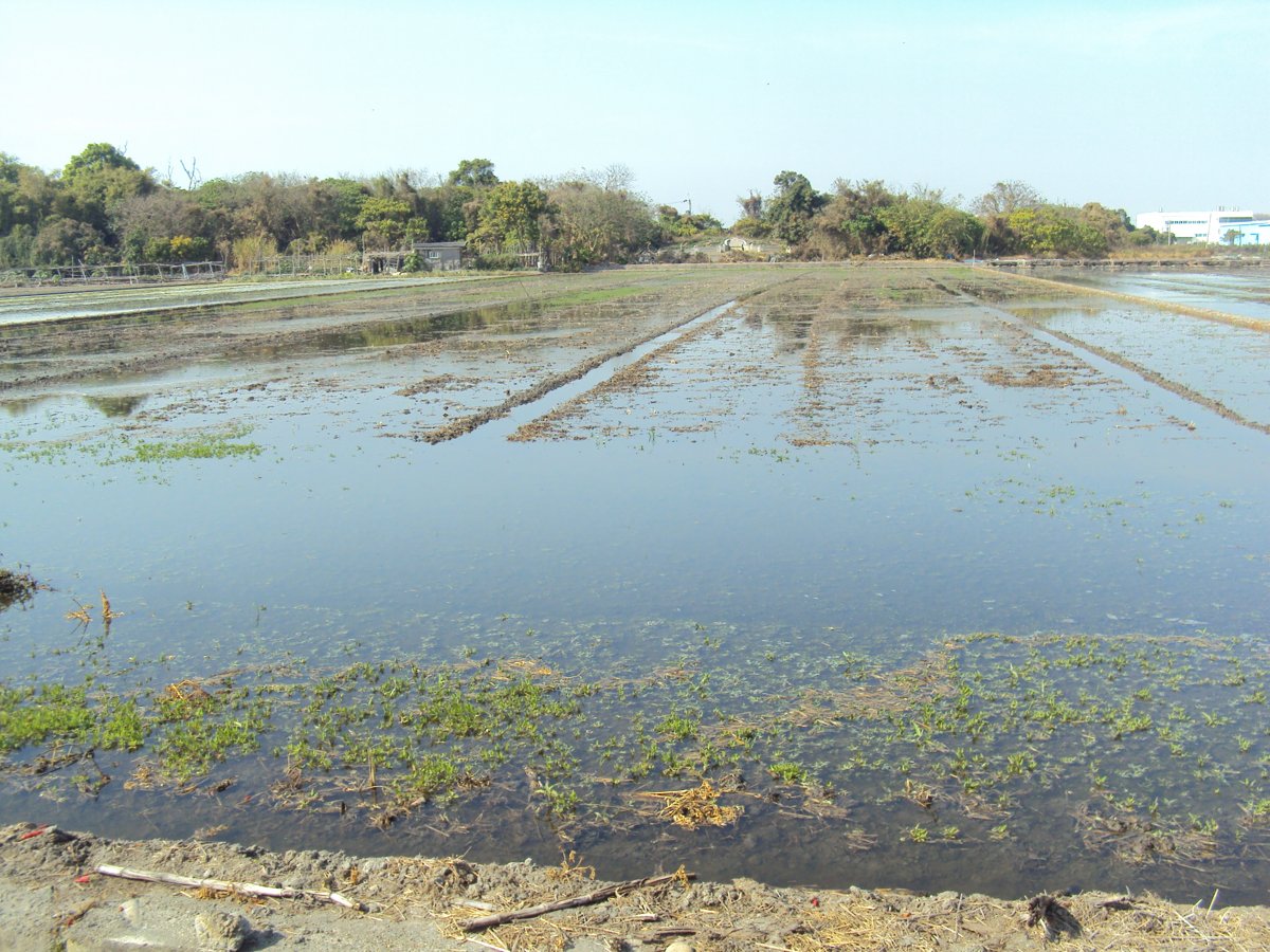 DSC03386.JPG - 馬興  陳媽馬夫人墓