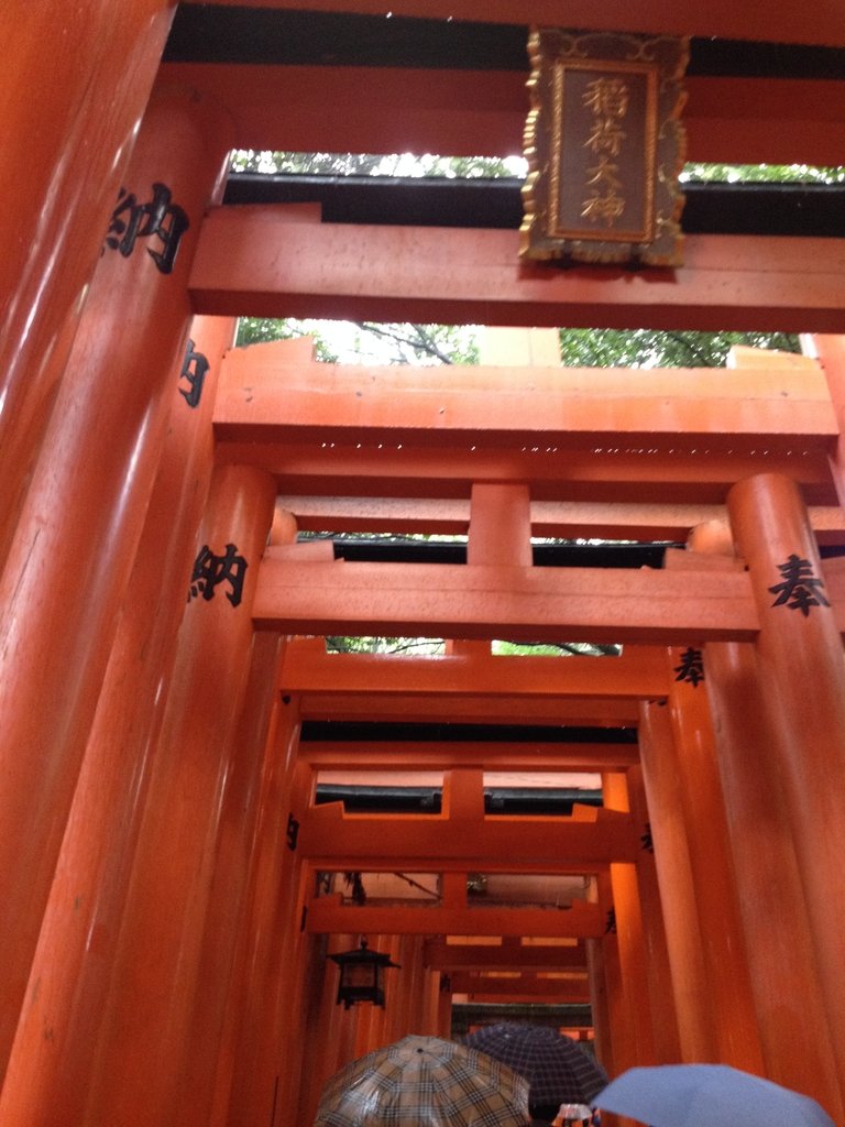 IMG_2619.JPG - 伏見稻荷神社  千本鳥居