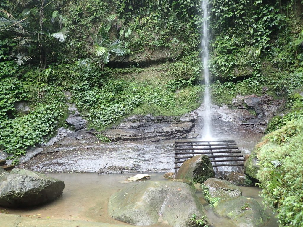 P4051058.JPG - 深坑  炮子崙登山步道