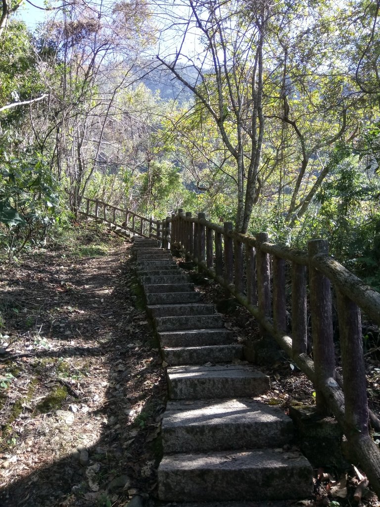 DSC_9129.JPG - 東埔  八通關古道