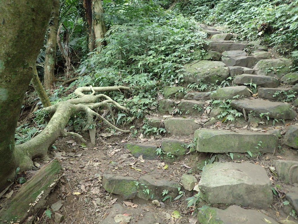 P2107484.JPG - 大溪  溪洲山登山步道