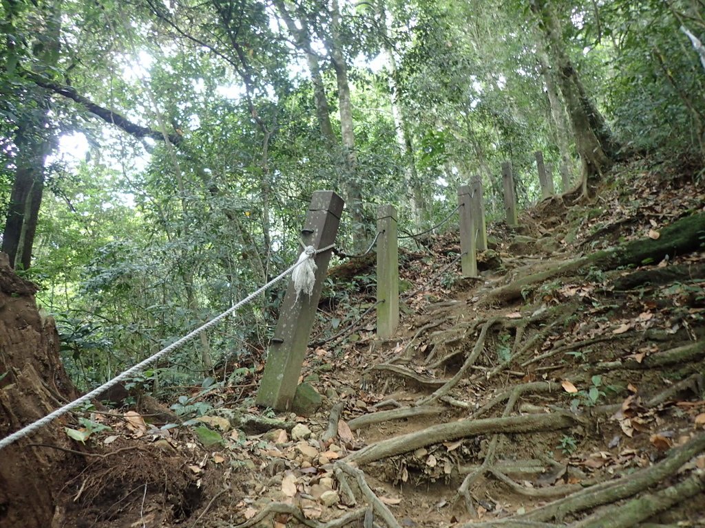 PA231694.JPG - 石壁山  嘉南雲峰步道