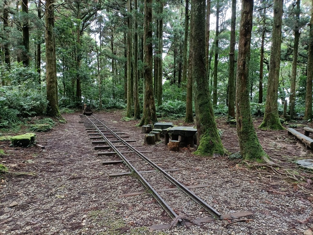 IMG20201215143934.jpg - 東眼山  東滿步道