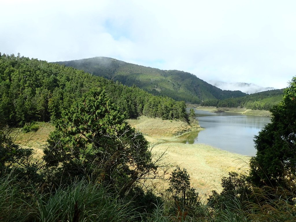 PB265374.JPG - 太平山  翠峰湖環山步道  02