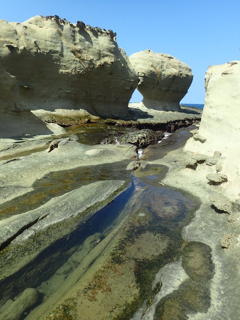 PA104892.JPG - 東北角海岸岩石之美  (04)