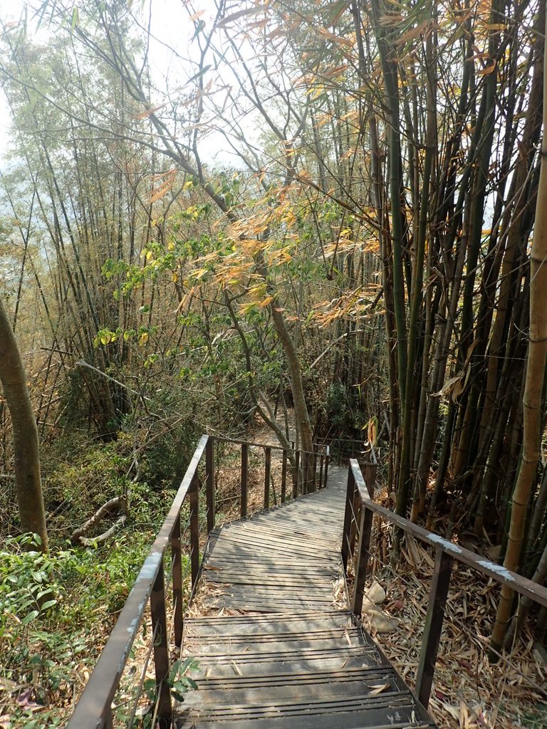 P3016044.JPG - 草屯平林  九九峰森林步道