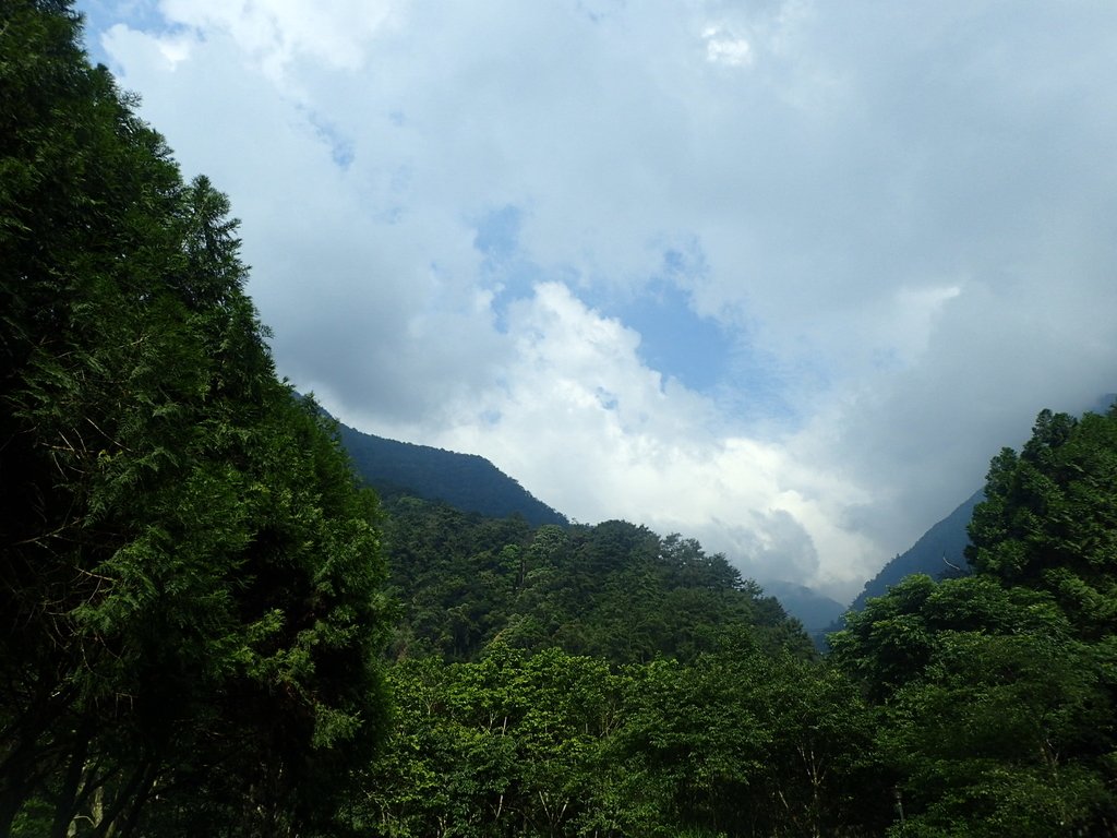 P6160690.JPG - 谷關七雄之  八仙山  (03)