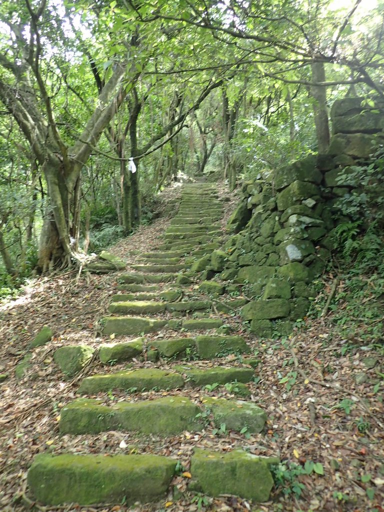 P7062144.JPG - 九份  小粗坑越嶺古道