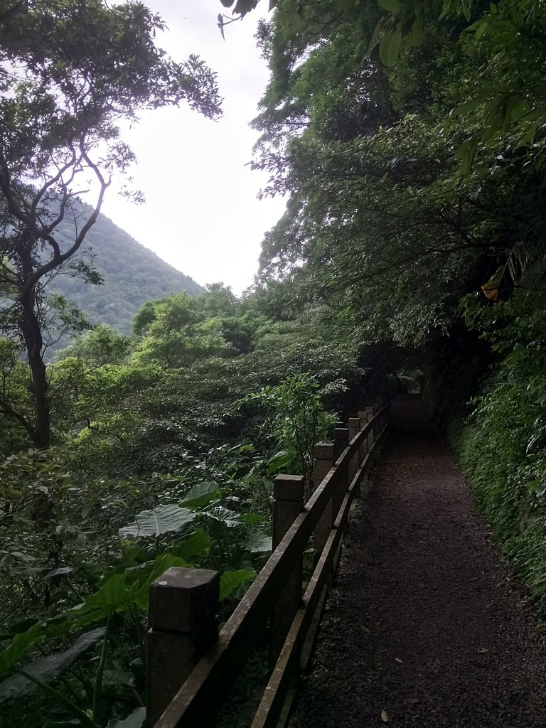 DSC_5788.JPG - 陽明山  水管路古道行