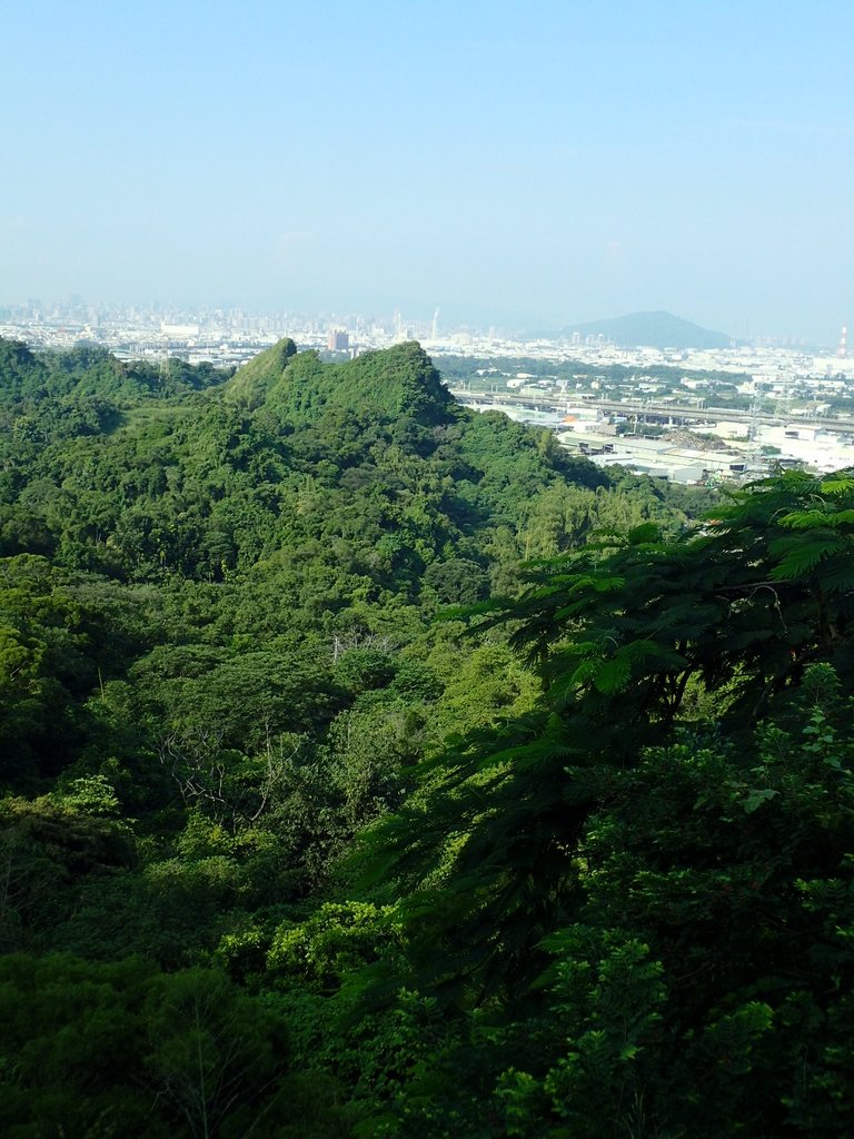 P9189166.JPG - 大社  觀音山步道