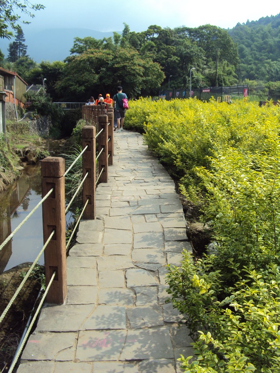 DSC08417.JPG - 水車寮  高家繡球花園