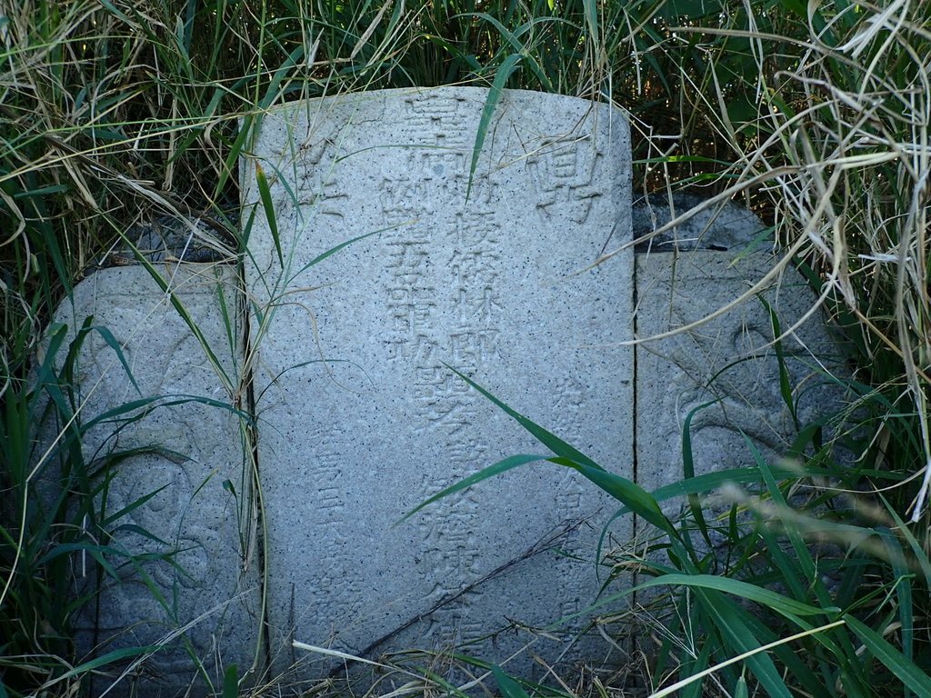 P1017820.JPG - 鹽水  菜園  儒林郎陳敏濟墓