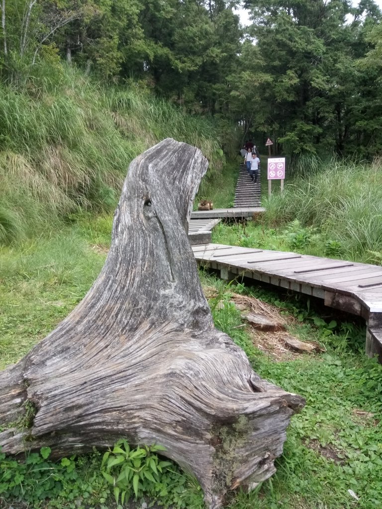 DSC_5658.JPG - 太平山  翠峰湖