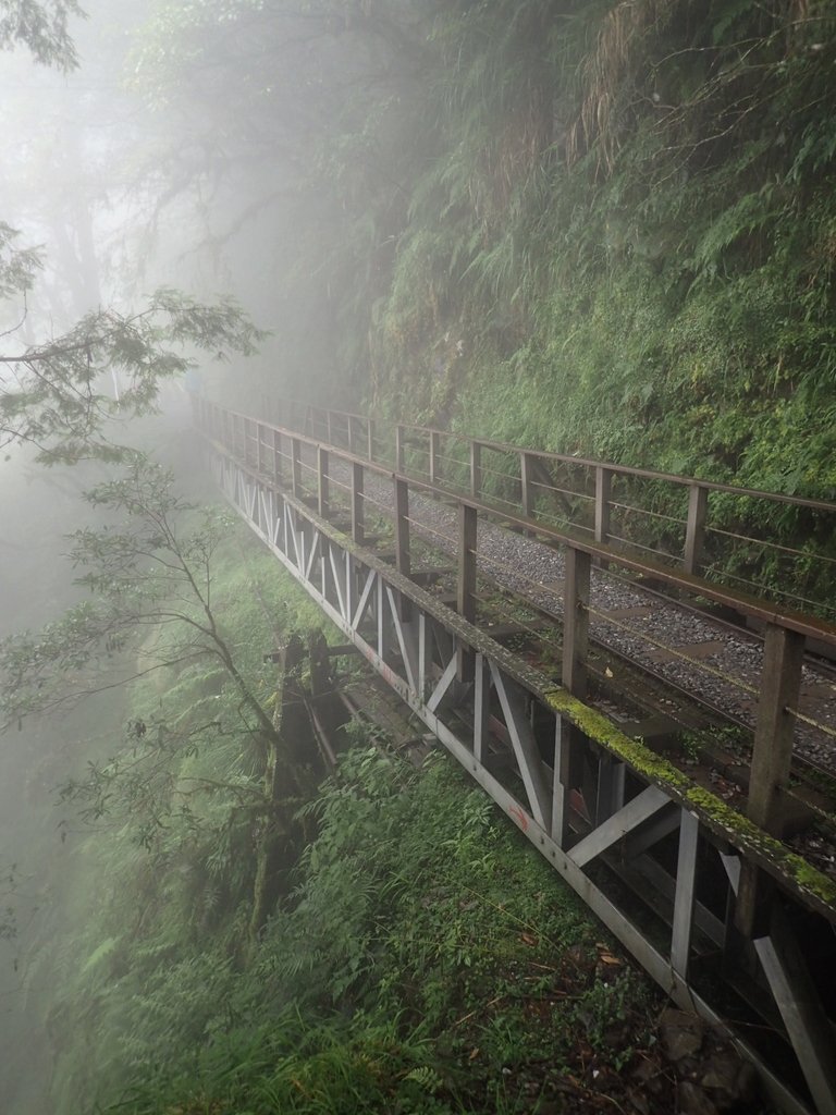 P8226814.JPG - 太平山 見晴懷古步道