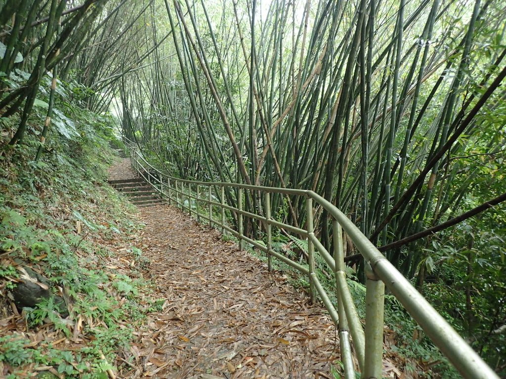 P4051071.JPG - 深坑  炮子崙登山步道