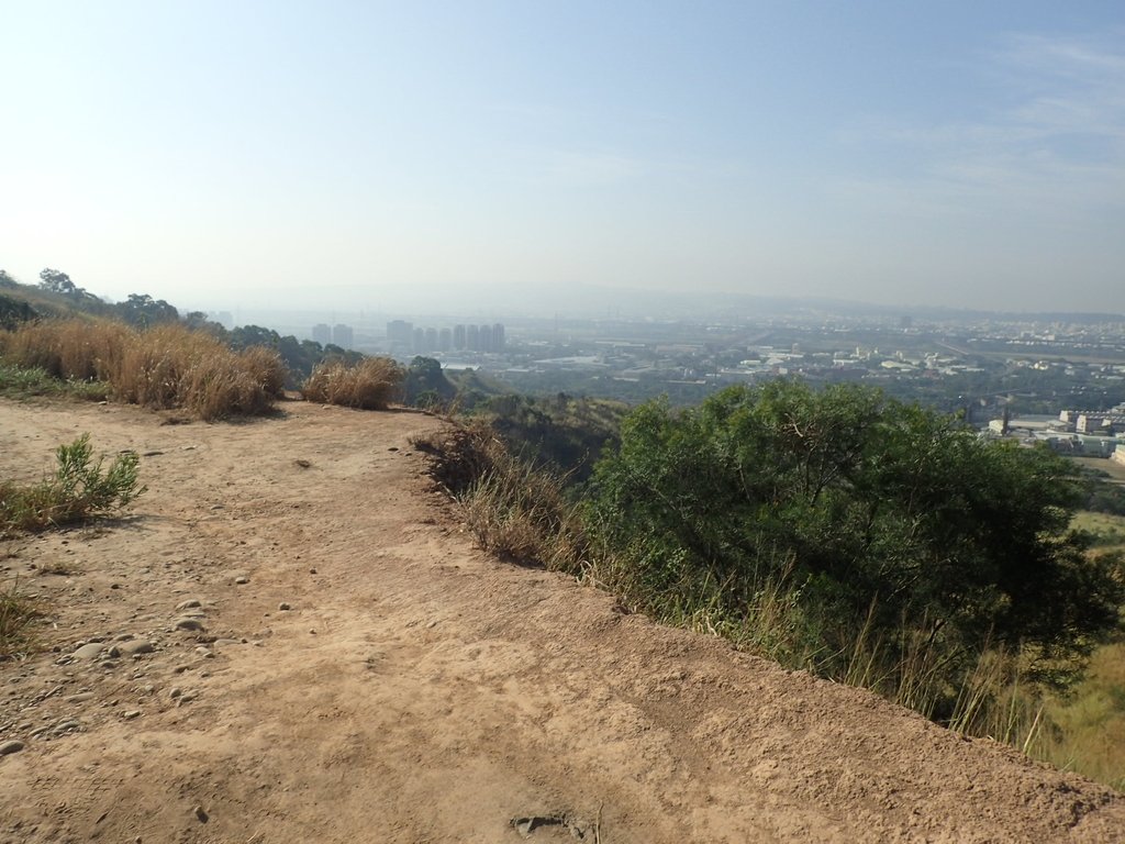 PA282037.JPG - 烏日  學田山登山步道