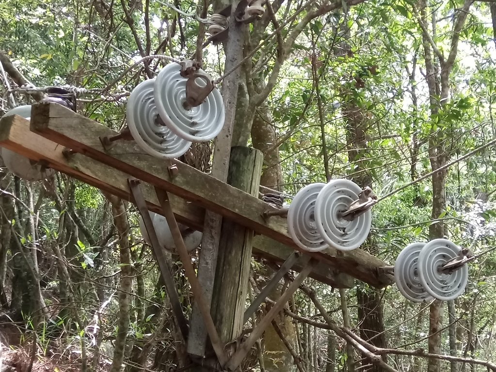 DSC_6478.JPG - 谷關七雄之  波津加山