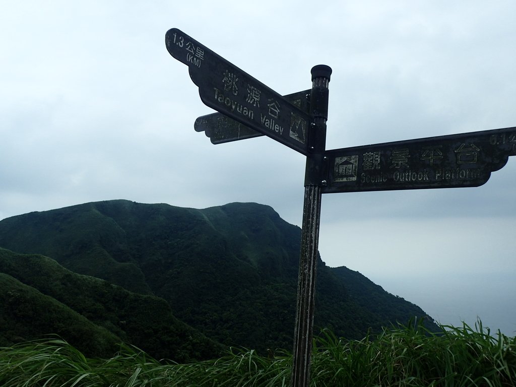 P5258750.JPG - 貢寮  桃源谷  灣坑頭山