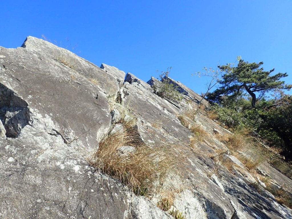 PA185512.JPG - 再訪---  台中  和平  鳶嘴山