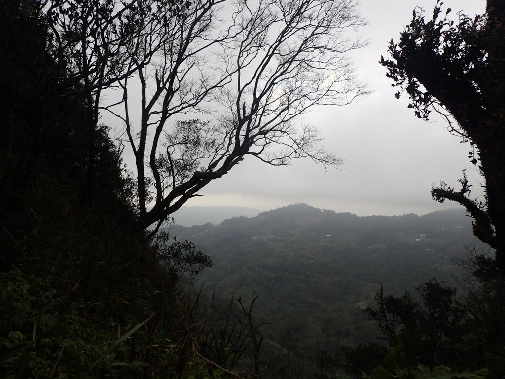 P1294568.JPG - 大湖  關刀山步道  (聖關段)