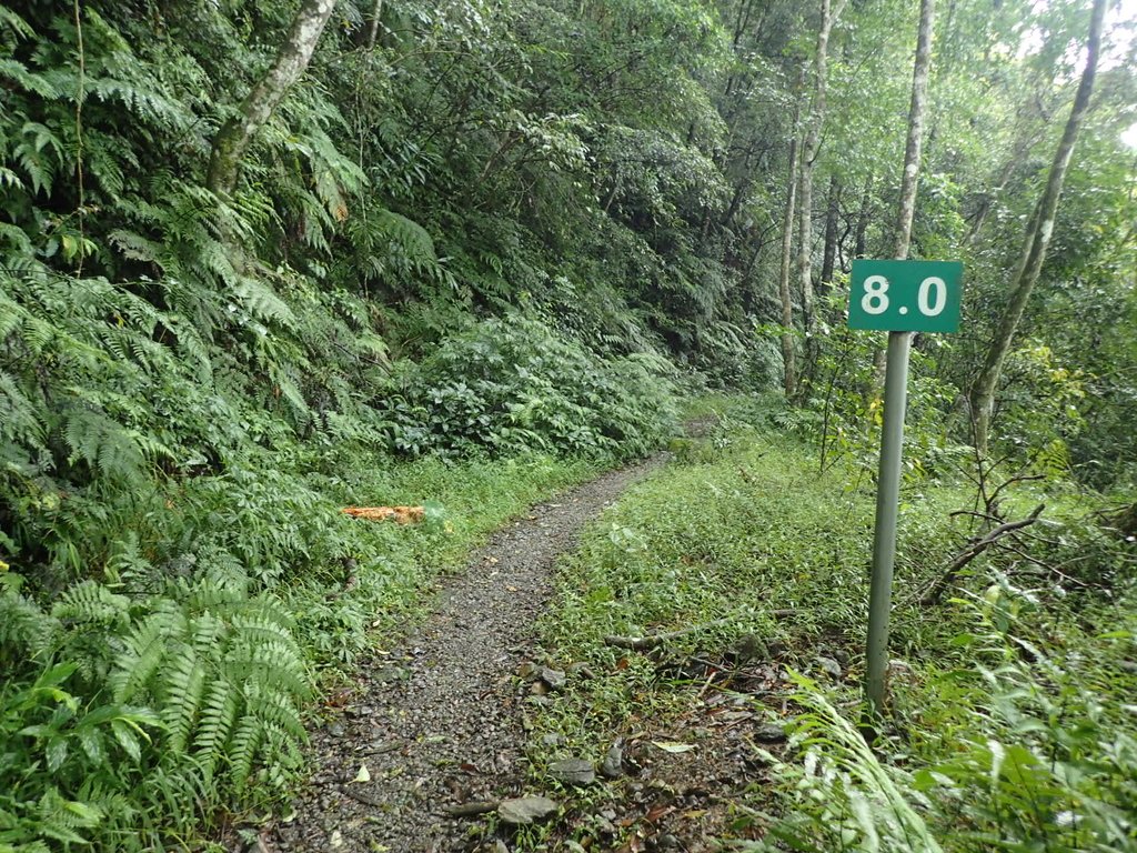 PA110725.JPG - 烏來  內洞林道