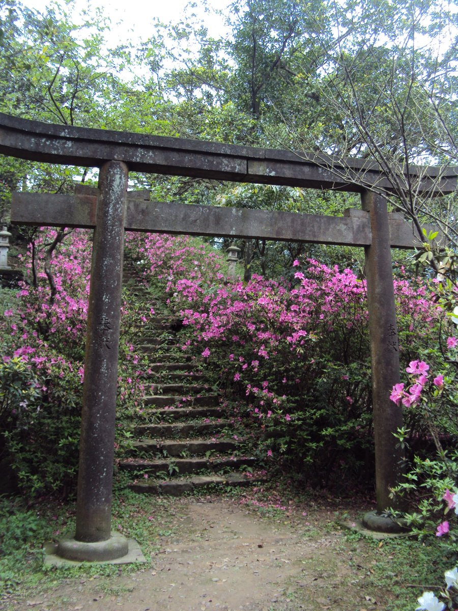 DSC07052.JPG - 再訪  侯硐神社