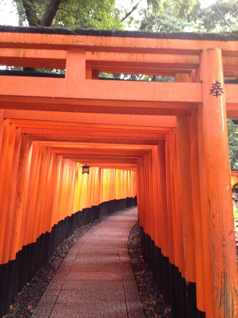 IMG_2627.JPG - 伏見稻荷神社  千本鳥居