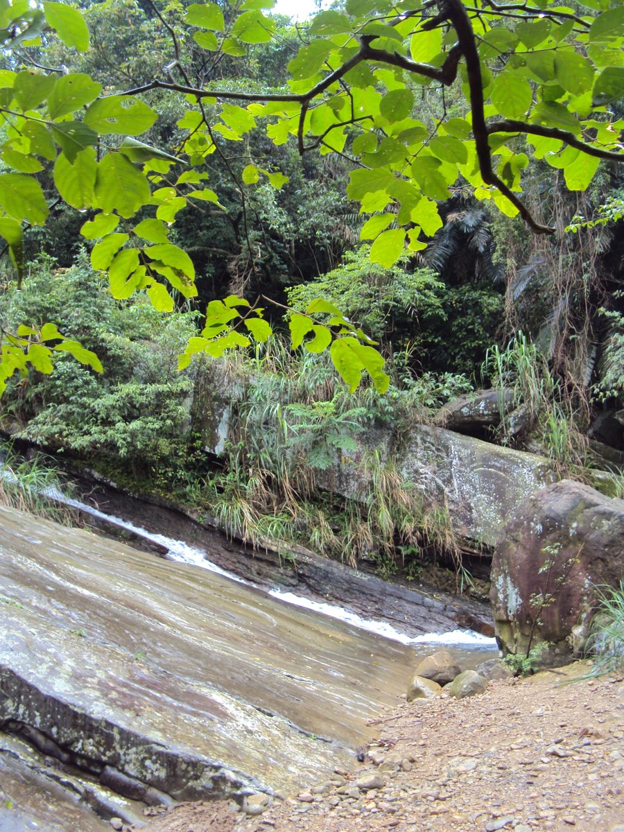 DSC07591.JPG - 基隆  暖東峽谷步道