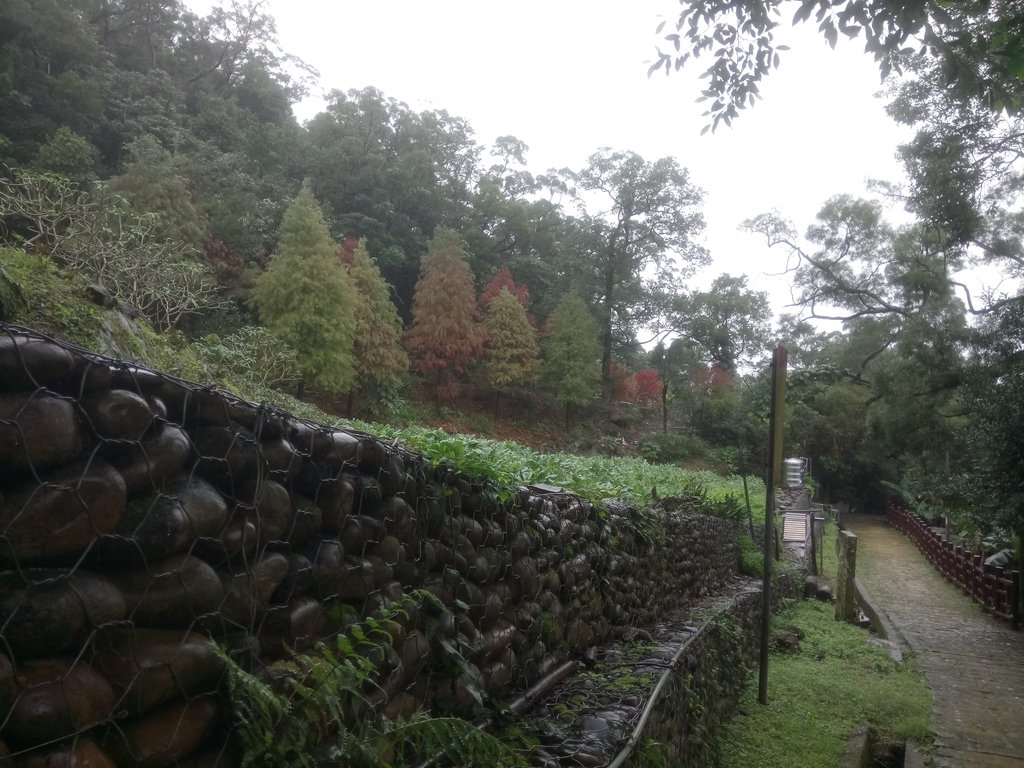 DSC_1710.JPG - 土城  承天寺  朝山步道