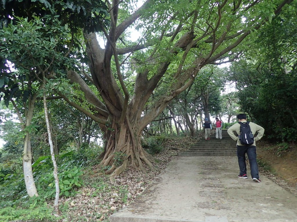 P1122669.JPG - 大直圓山風景區  劍潭山