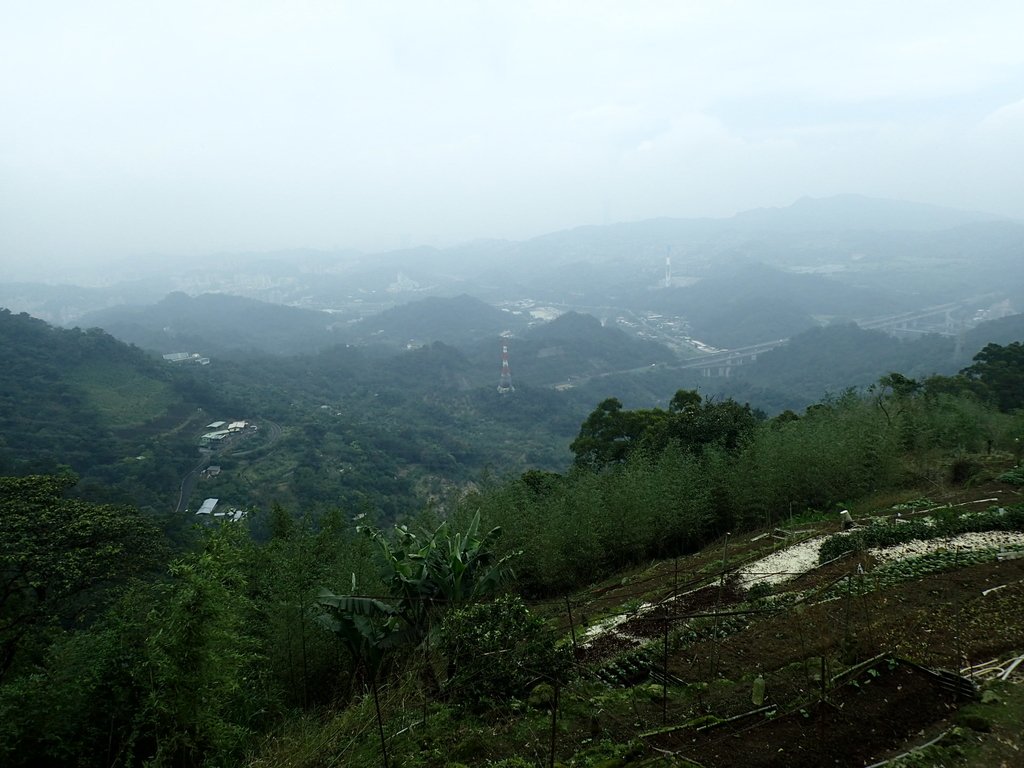 P4051091.JPG - 深坑  炮子崙登山步道