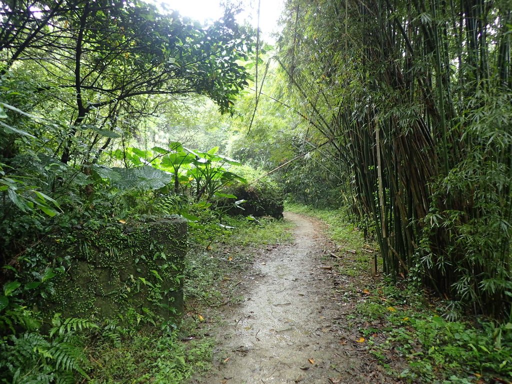 P4051082.JPG - 深坑  炮子崙登山步道