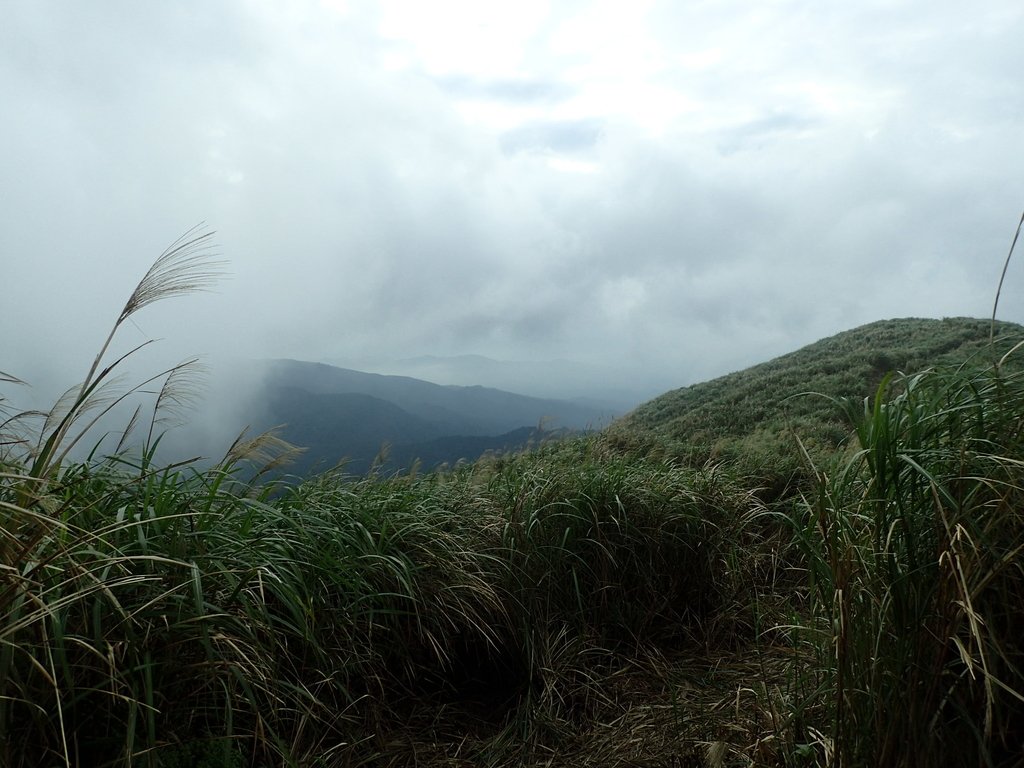 P1203501.JPG - 瑞芳  牡丹山