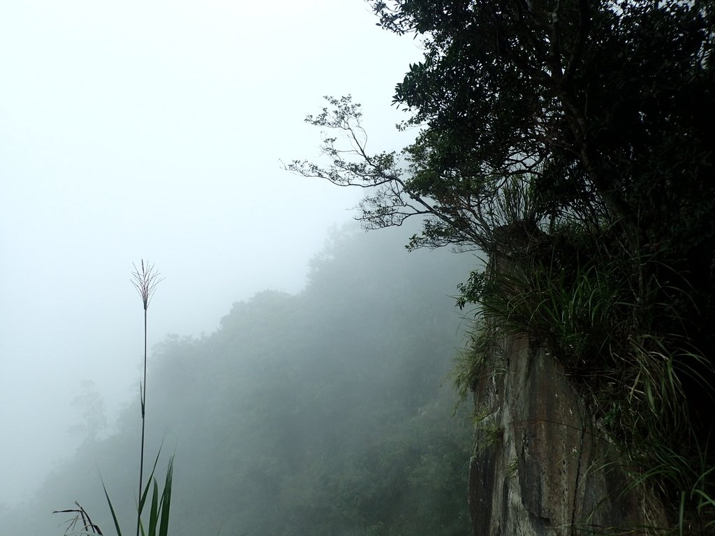 PA231712.JPG - 石壁山  嘉南雲峰步道