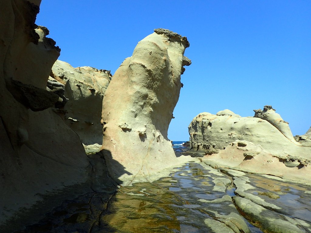 PA104901.JPG - 東北角海岸岩石之美  (04)