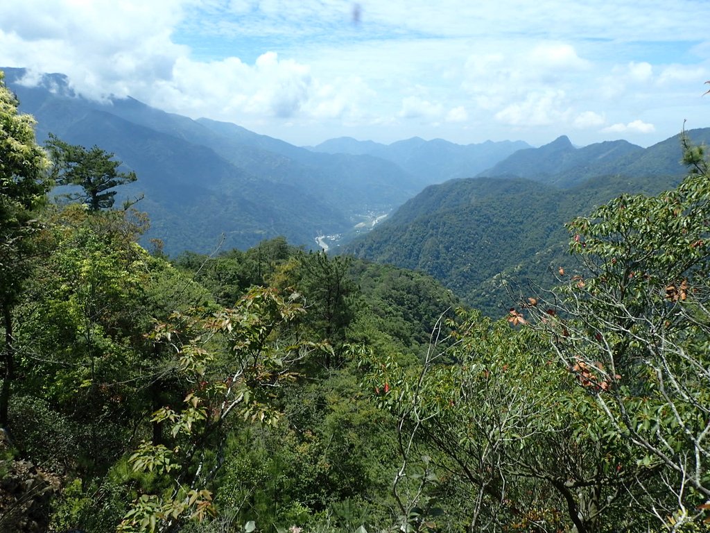 P5012356.JPG - 谷關七雄之  波津加山