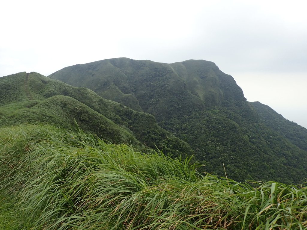 P5258752.JPG - 貢寮  桃源谷  灣坑頭山