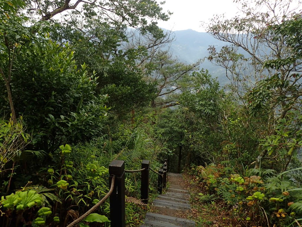 P3170393.JPG - 坪林  鬼子賴尖山