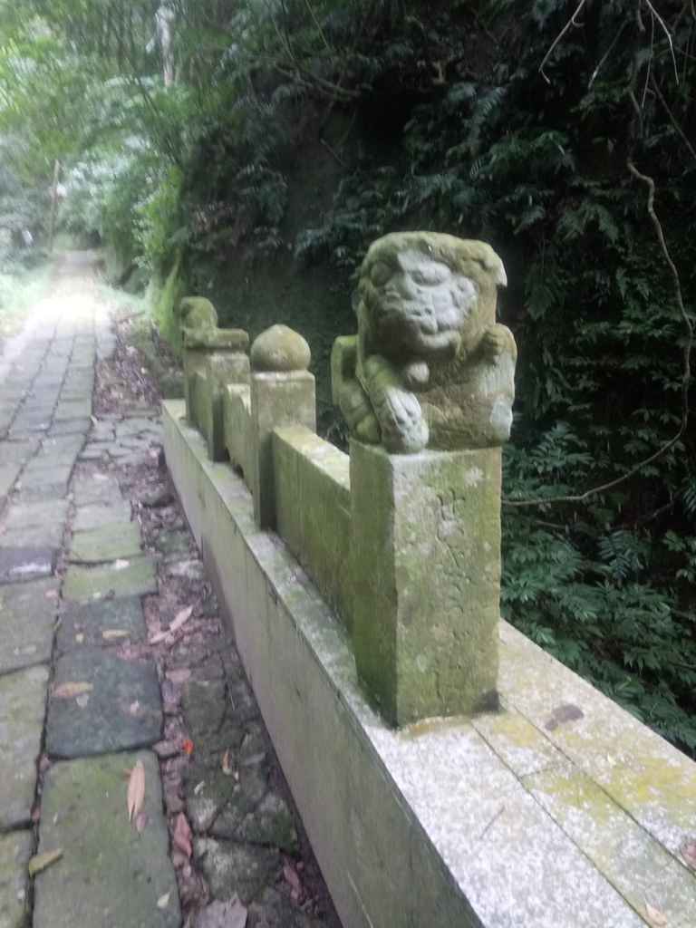 DSC_2786.JPG - 獅頭山  獅山古道  (02)