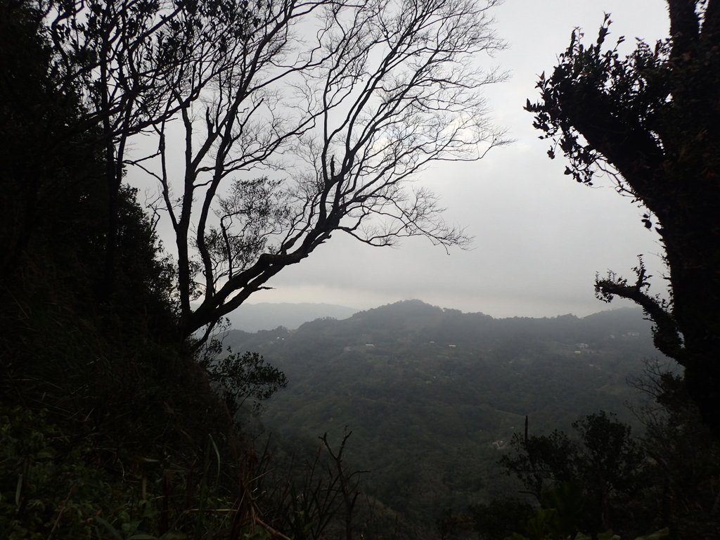 P1294570.JPG - 大湖  關刀山步道  (聖關段)