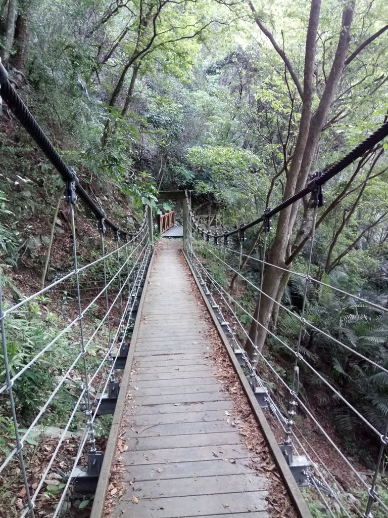 DSC_9837.JPG - 谷關  德芙蘭步道