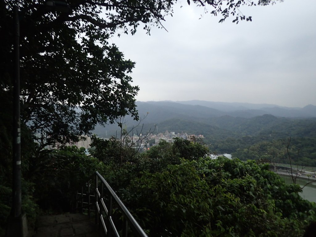 P3116931.JPG - 內湖  白鷺鷥山親山步道