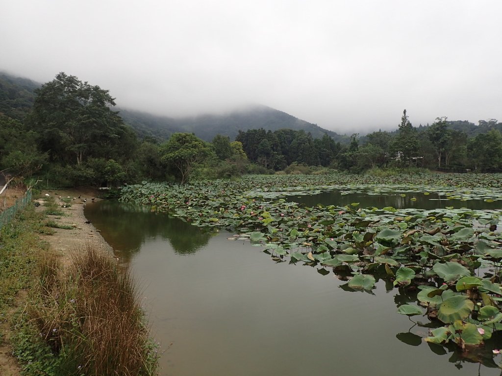 P9250270.JPG - 南庄  向天湖之  環湖步道