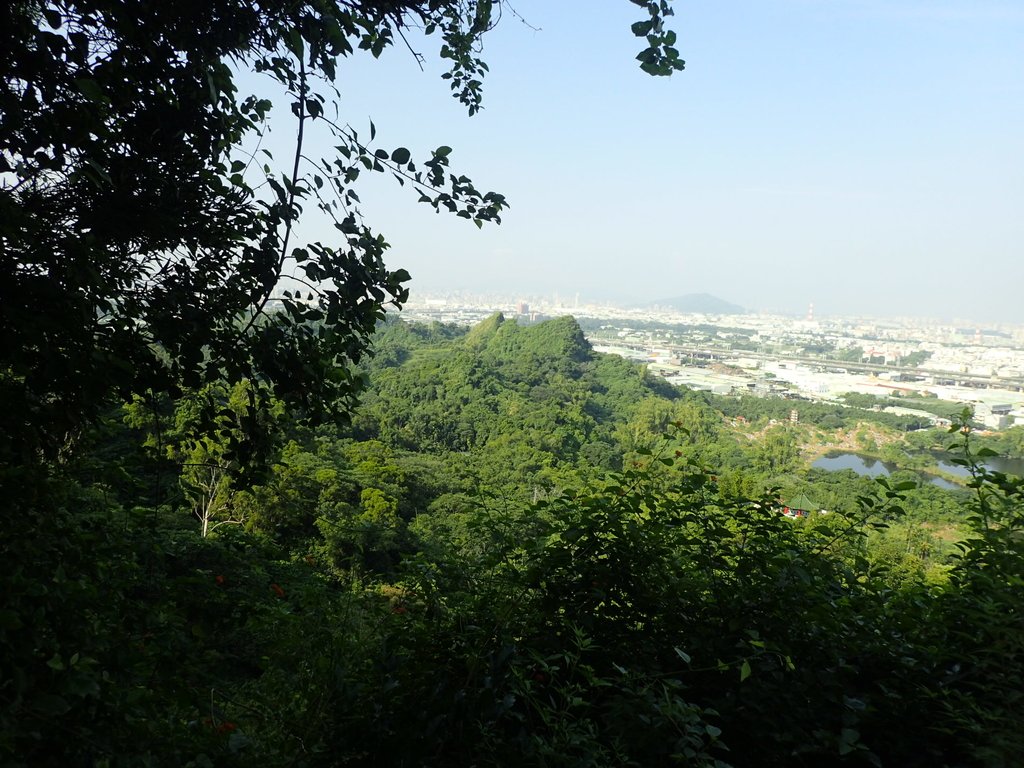 P9189169.JPG - 大社  觀音山步道