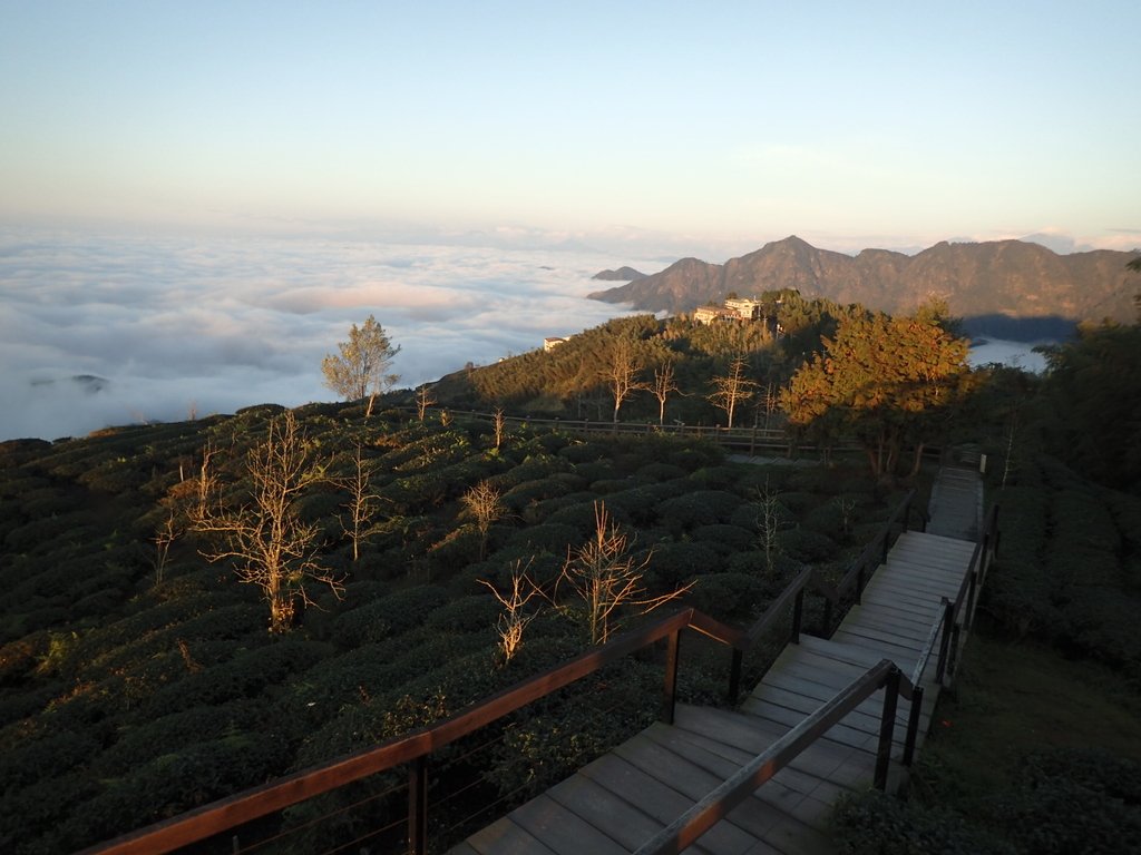 P1076418.JPG - 鹿谷  大崙山  觀霧亭之  暮光