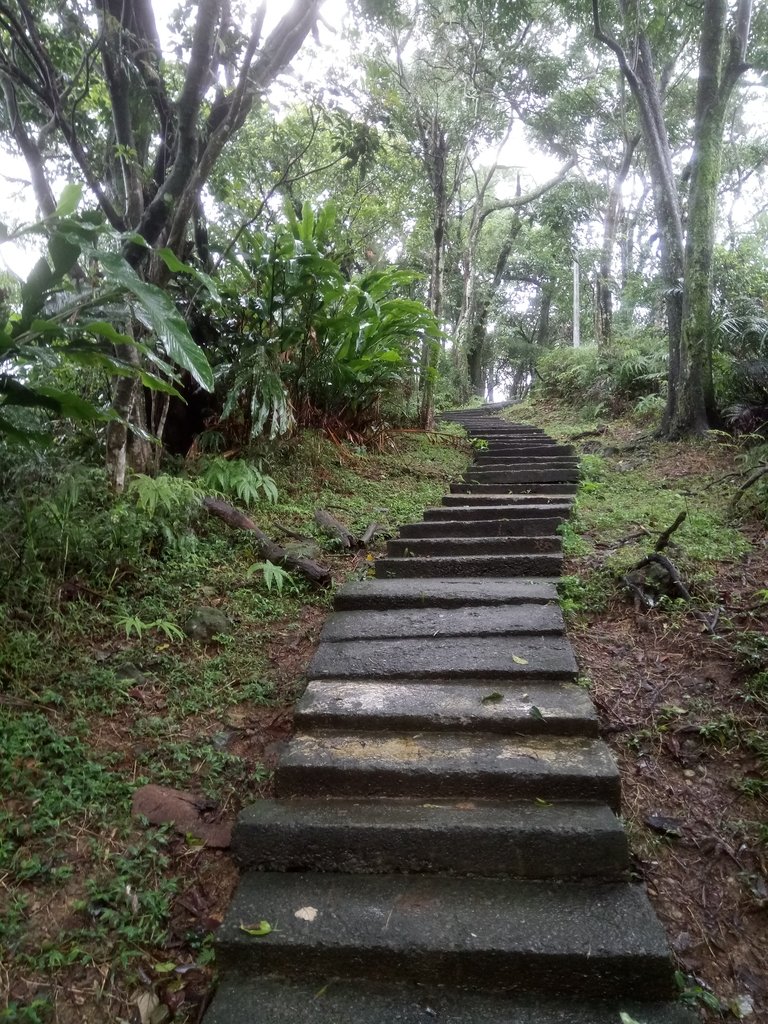 DSC_1719.JPG - 土城  天上山  登山步道