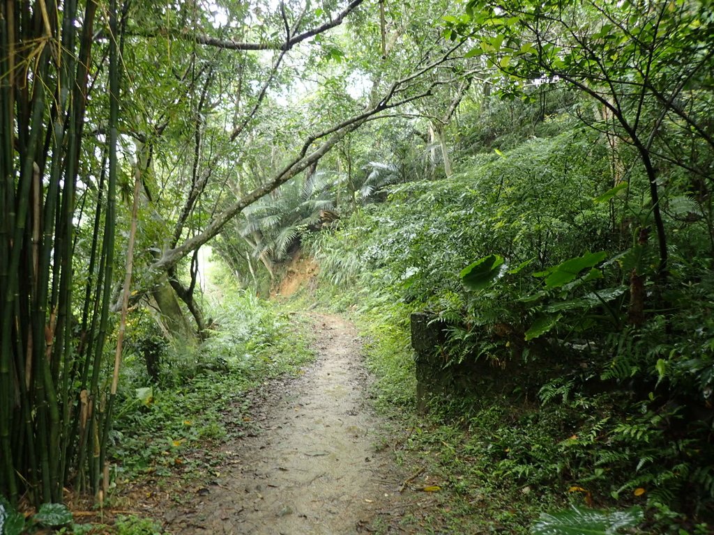 P4051086.JPG - 深坑  炮子崙登山步道